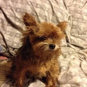 Meet your Posher, Sondra